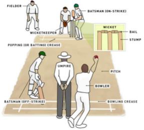 what-is-cricket